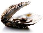 oyster with pearl inside