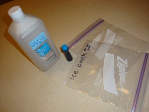 rubbing alcohol, food coloring, 2 quart size ziploc bags