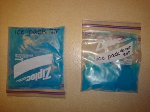 two frozen ice packs, a large and a small