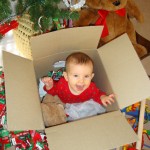 baby in a box under the tree