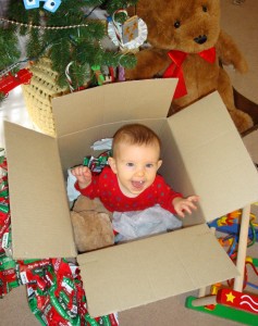 baby in a box under the tree