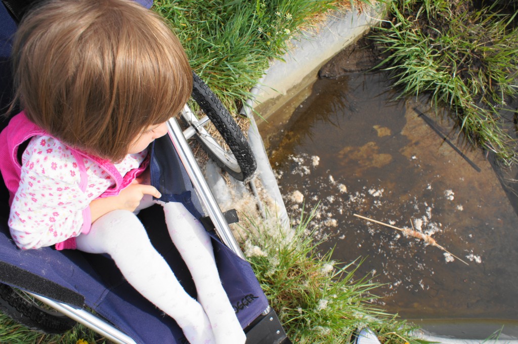 my daughter in a jogging stroller overlooking water and cattail and fuzz