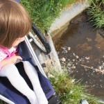 my daughter in a jogging stroller overlooking water and cattail and fuzz